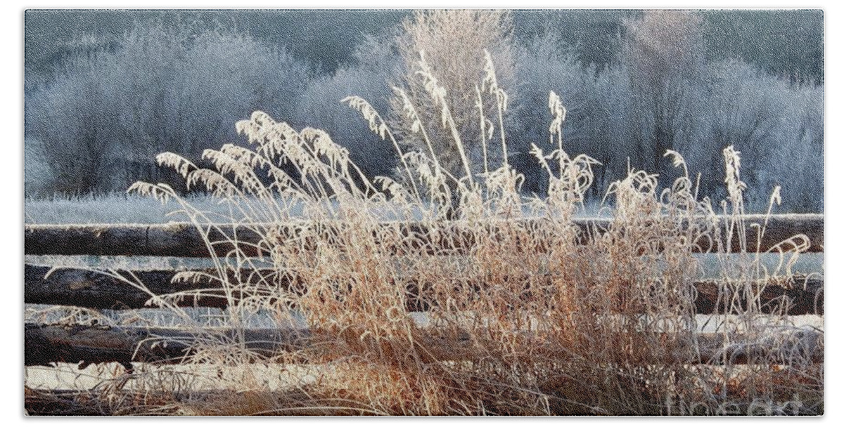 Log Fence Bath Towel featuring the photograph Morning in the frost by Nicola Finch