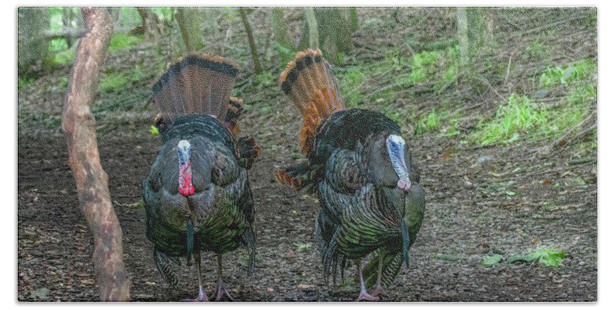 Wild Turkeys Bath Towel featuring the photograph Morning Stroll in the Woods by Marcy Wielfaert