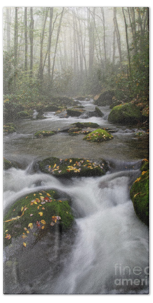 Middle Prong Trail Bath Towel featuring the photograph Moss On Middle Prong 4 by Phil Perkins