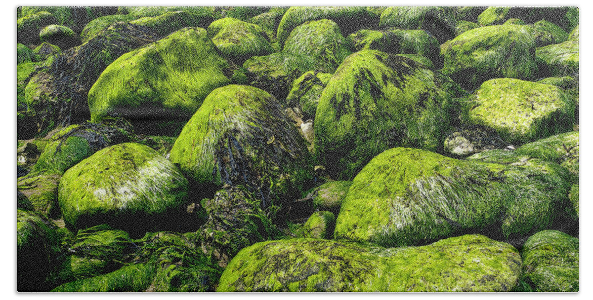 Mossy Bold Heads Boulders Stones Vivid Bright Vibrant Sunny Intimate Landscape Wonderland Delightful Beautiful Atmospheric Poetic Jolly Happy Impressive Fantastic Green Yellow Colorful Shapes Painterly Nature Wonder Singular Summer Day Shining Glossy Mysterious Slippery Majestic Glorious Magical Uk Numerous Uplifting Airily Scenic Moss Impressions Pleasing Serenity Serene Tranquil Unspoiled Charming Aesthetic Attractive Picturesque Spectacular Splendid Coastal Inspirational Untroubled Unwinding Bath Towel featuring the photograph Mossy Bold Heads by Tatiana Bogracheva