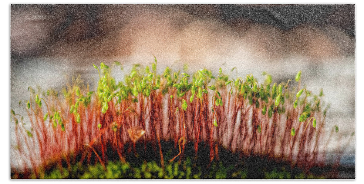 Macro Bath Towel featuring the photograph Mossy Forest by Pamela Dunn-Parrish