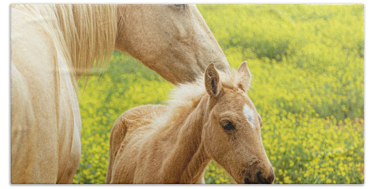Horse Bath Towel featuring the photograph Mother and daughter by Jamie Tyler