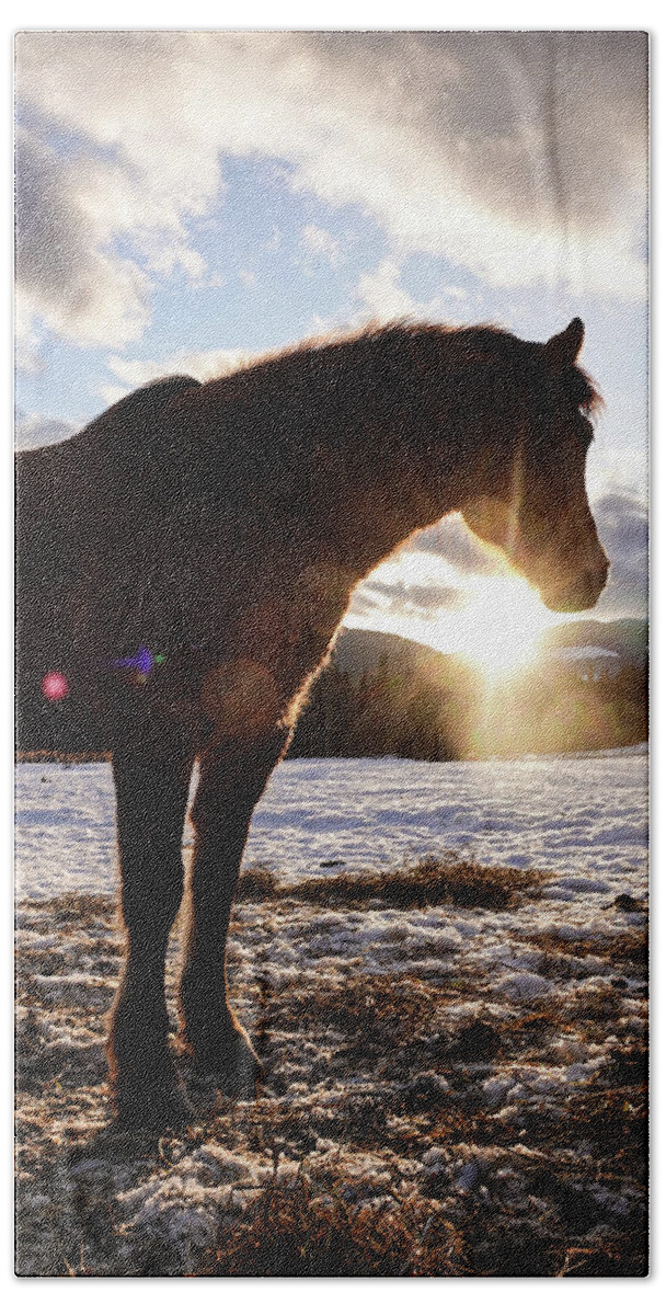 Winter Hand Towel featuring the photograph Mountain Sunset by Listen To Your Horse