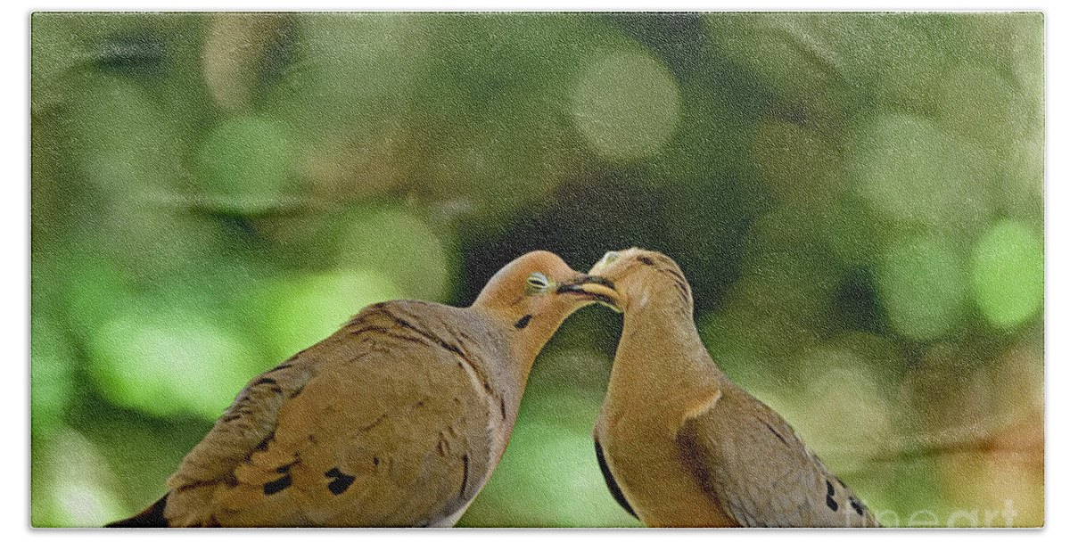 Zenaida Macroura Bath Towel featuring the photograph Mourning Doves Kissing - Foreplay by Amazing Action Photo Video