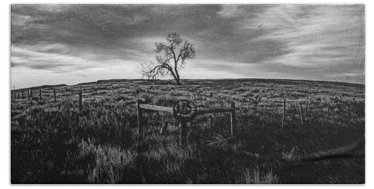  Bath Towel featuring the photograph Murray Tree Monochrome by Darcy Dietrich