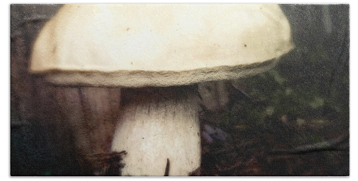 Mushroom Hand Towel featuring the photograph Mushroom by Robert Dann