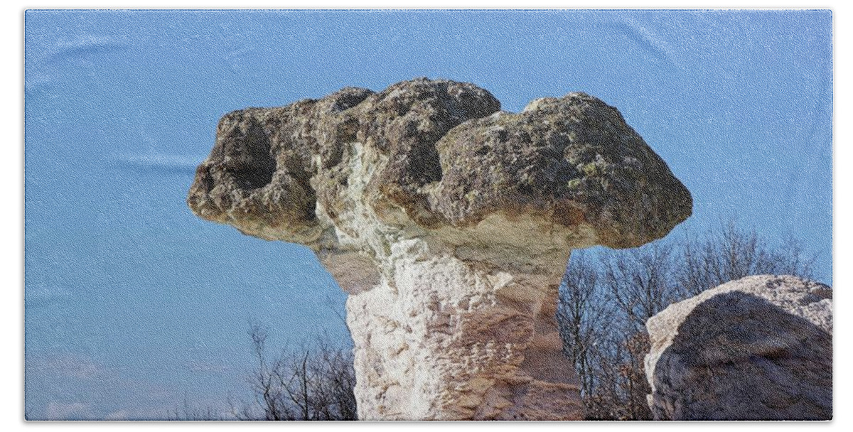 Mushroom Hand Towel featuring the photograph Mushroom rocks by Martin Smith