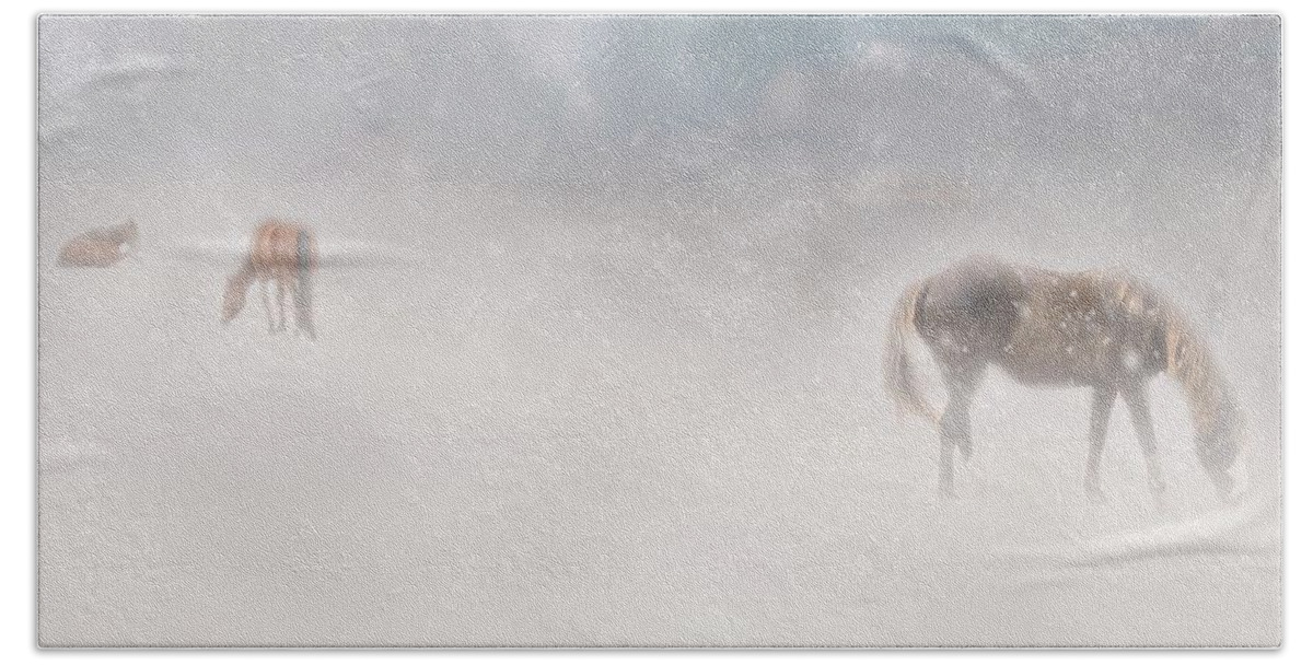 Horses Bath Towel featuring the photograph Mustangs Grazing in Snow by Marjorie Whitley
