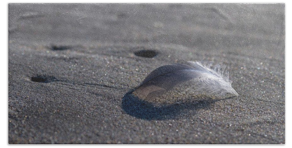 Beach Bath Towel featuring the photograph Mysterious Feather by Liza Eckardt