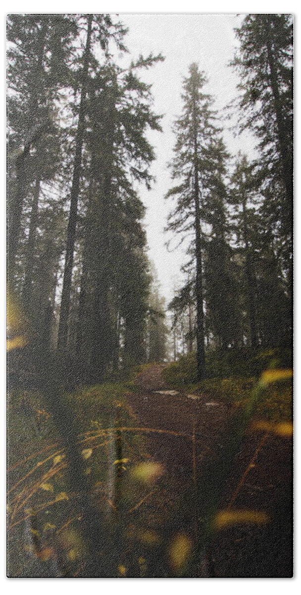 Outdoor Bath Towel featuring the photograph Mysterious misty forest in the rain by Vaclav Sonnek