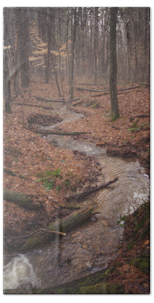 Fog Bath Towel featuring the photograph Mystical Forest by Grant Twiss