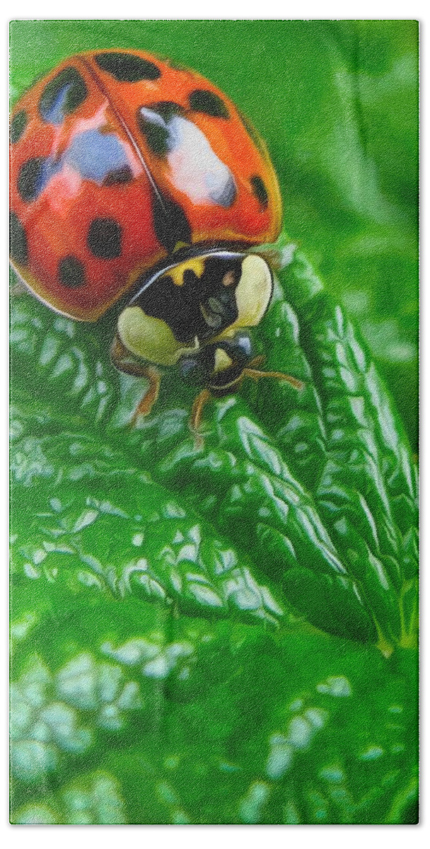 Ladybug Hand Towel featuring the photograph Natural color contrast by Tatiana Travelways