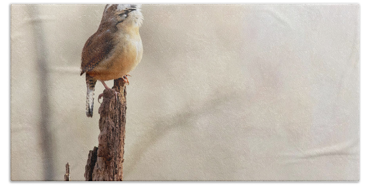 Bird Bath Towel featuring the photograph Natural Melodies by Art Cole