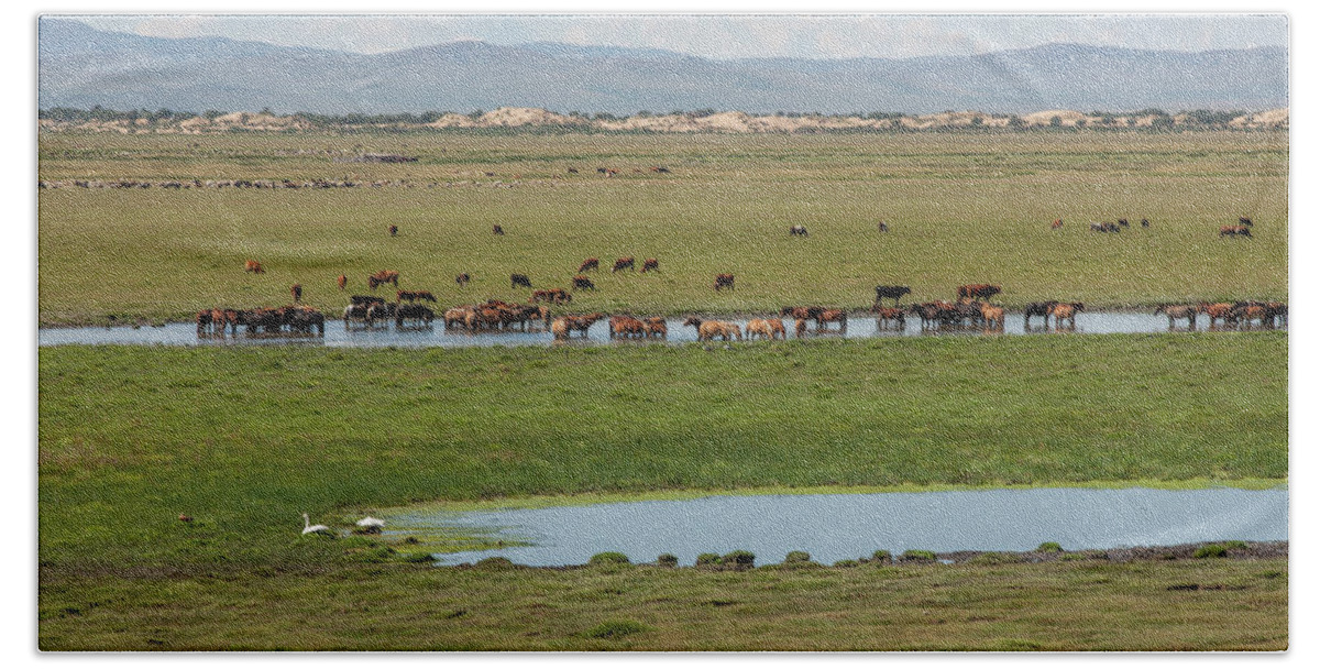 Herders Lifestyle Bath Towel featuring the photograph Nature Mongolia by Bat-Erdene Baasansuren