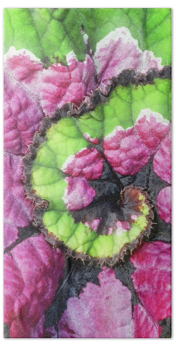 Begonia Bath Towel featuring the photograph Nautilus Leaf Begonia by Gary Slawsky