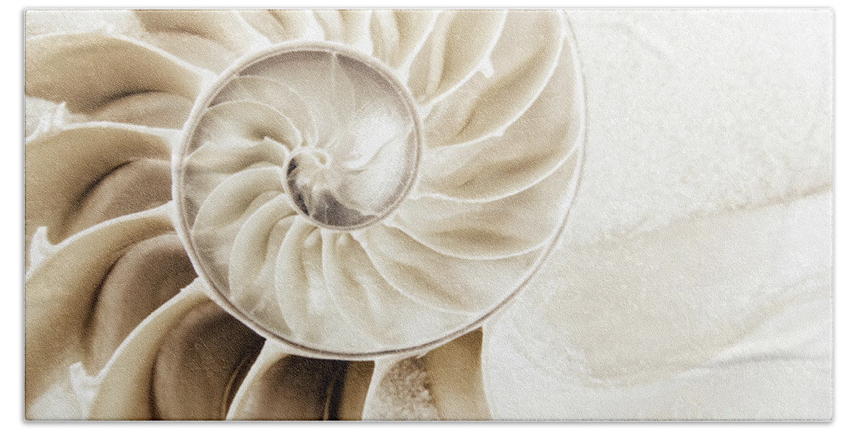 Nautilus Hand Towel featuring the photograph Nautilus Seashell by Linda D Lester
