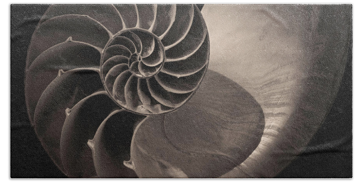  Black And White Bath Towel featuring the photograph Nautilus Shell V Toned by David Gordon