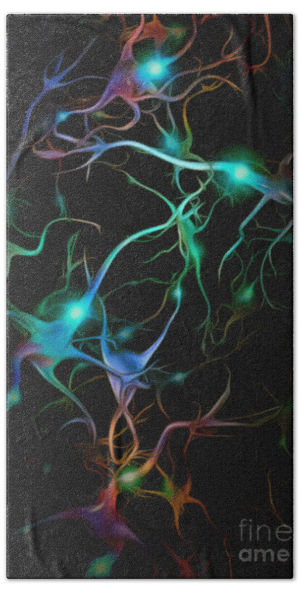 Neuron Hand Towel featuring the photograph Neurons network by Bruce Rolff