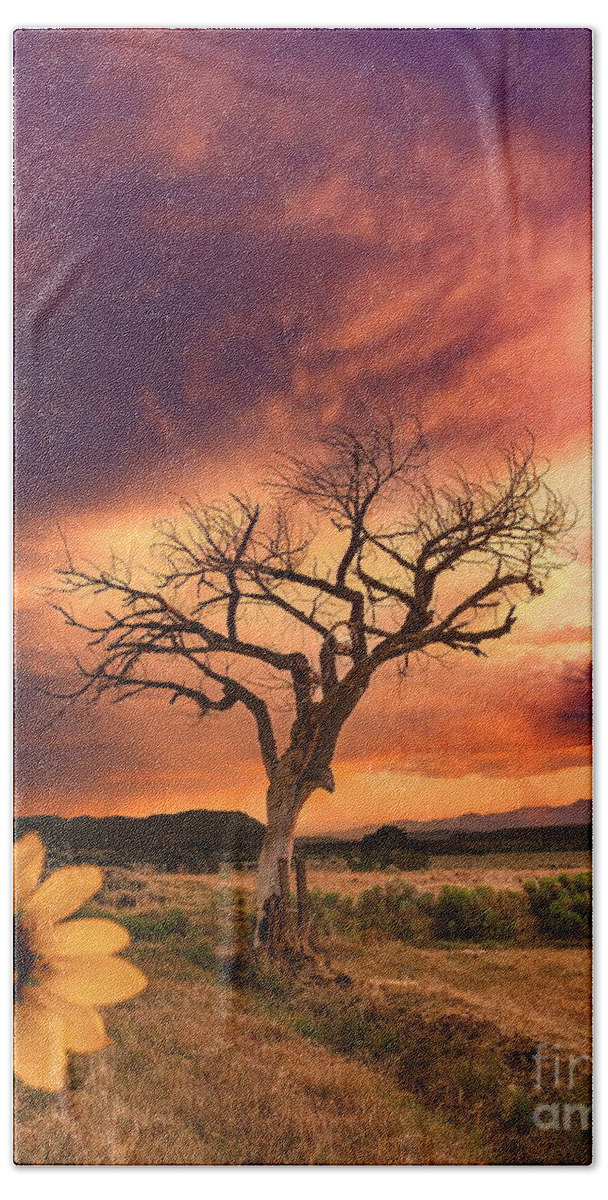 Taos Bath Towel featuring the photograph New Mexico Heaven by Elijah Rael