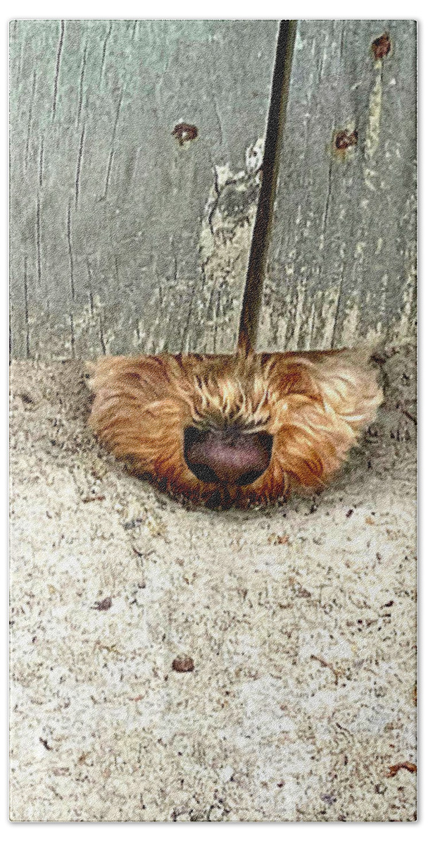 Dog Bath Towel featuring the photograph Nosey Lil Lady by Lee Darnell
