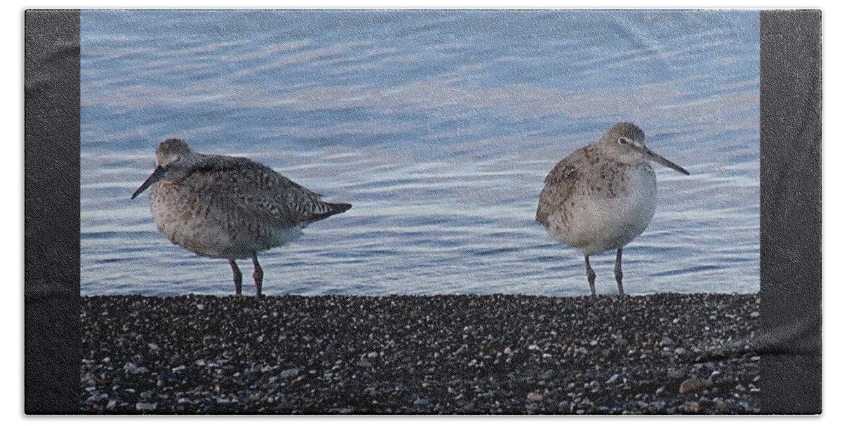Long-billed Dowitcher Bath Towel featuring the photograph Not talking to you by Yvonne M Smith