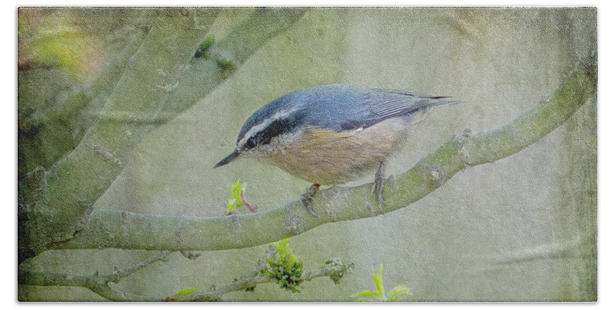 Nuthatch Bath Towel featuring the photograph Nuthatch in a Tree by Rebecca Cozart