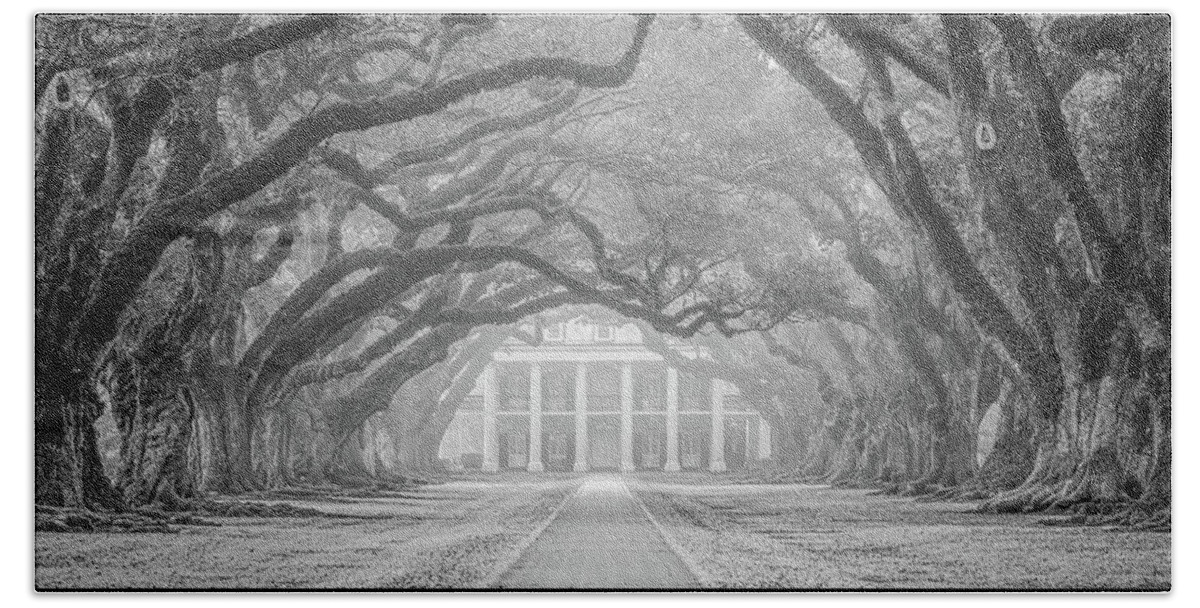 Louisiana Bath Towel featuring the photograph Oak Alley fog by Andy Crawford
