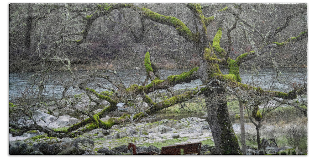 Rouge River Hand Towel featuring the photograph Oak On The Rogue River by Theresa Fairchild
