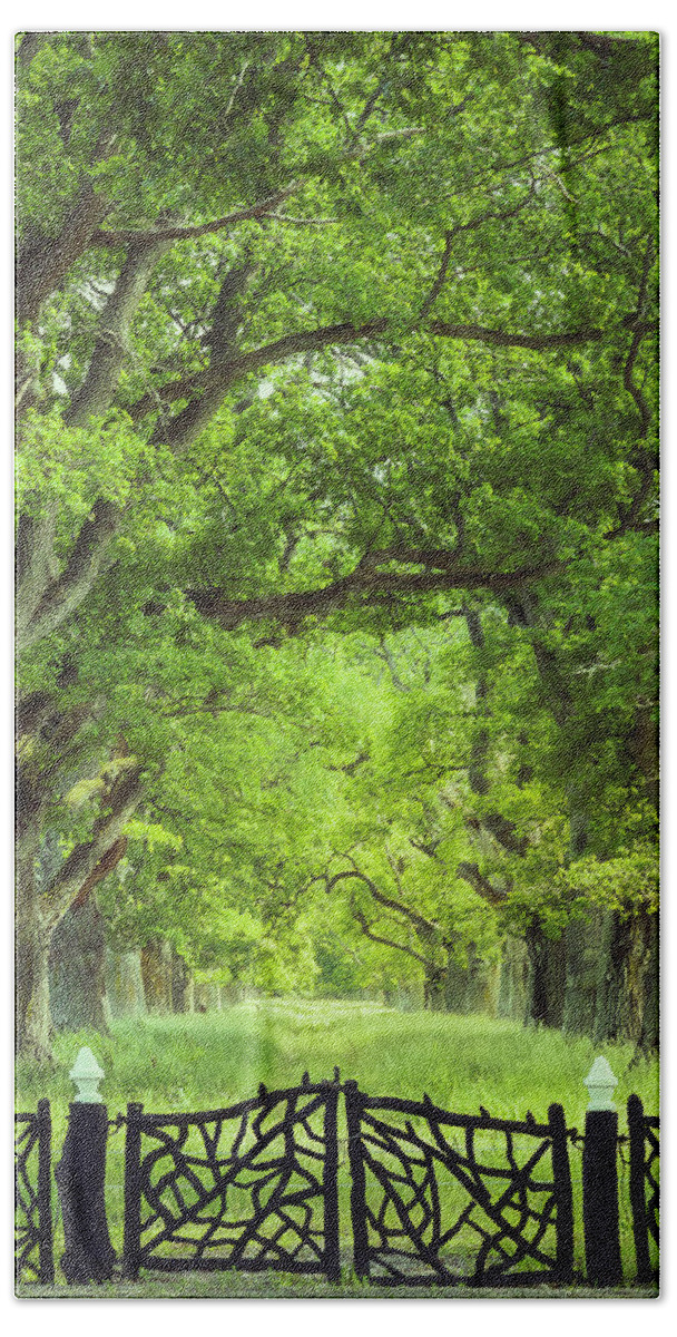 Oak Hand Towel featuring the photograph Oak Tree Alley in Summer by Nicklas Gustafsson