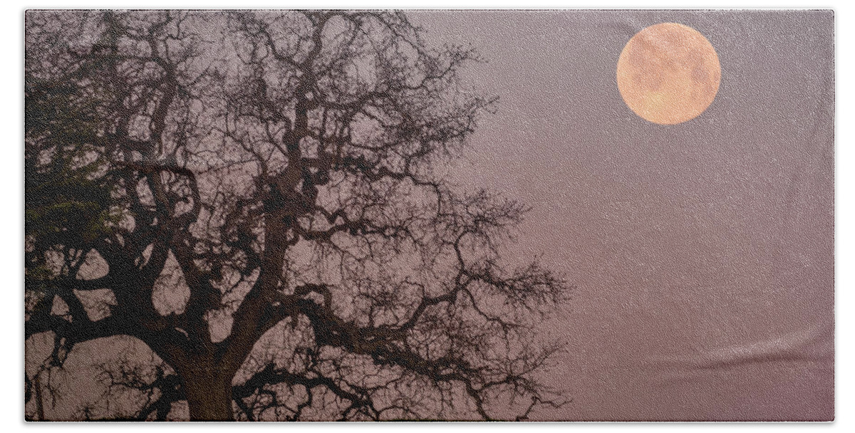 Landscape Bath Towel featuring the photograph Oak Tree Moonset by Laura Macky