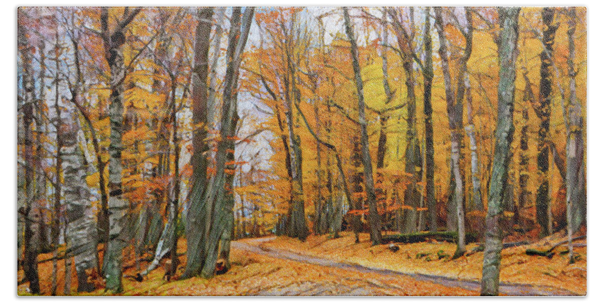 Landscape; Nature; Beauty; Fall; Road; Trees; Color; Potawatomi State Park Hand Towel featuring the photograph October Road by Barbara Smits