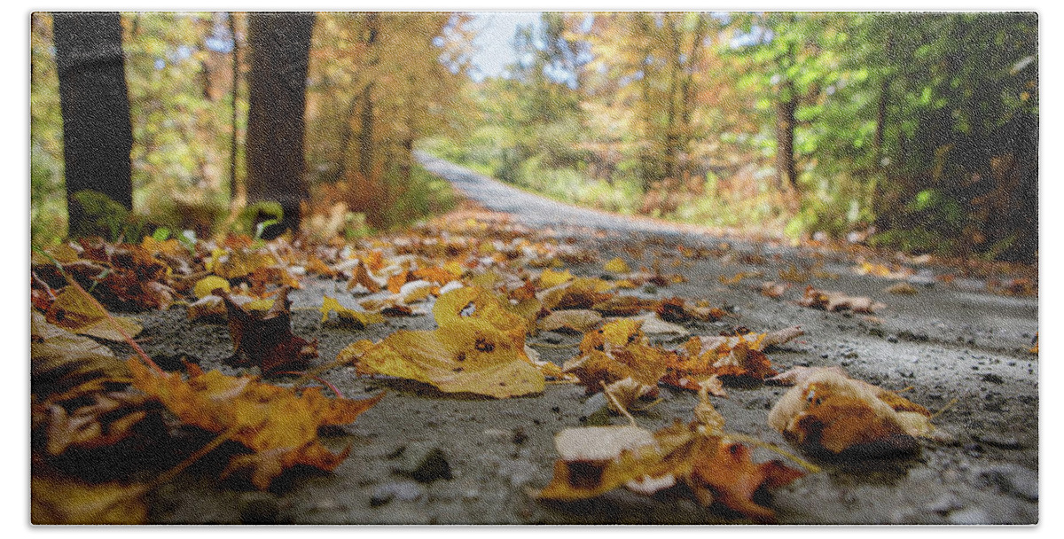 Autumn Bath Towel featuring the photograph October Road by Carolyn Ann Ryan