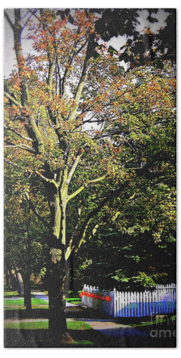 Autumn Bath Towel featuring the photograph October Vibes by Frank J Casella