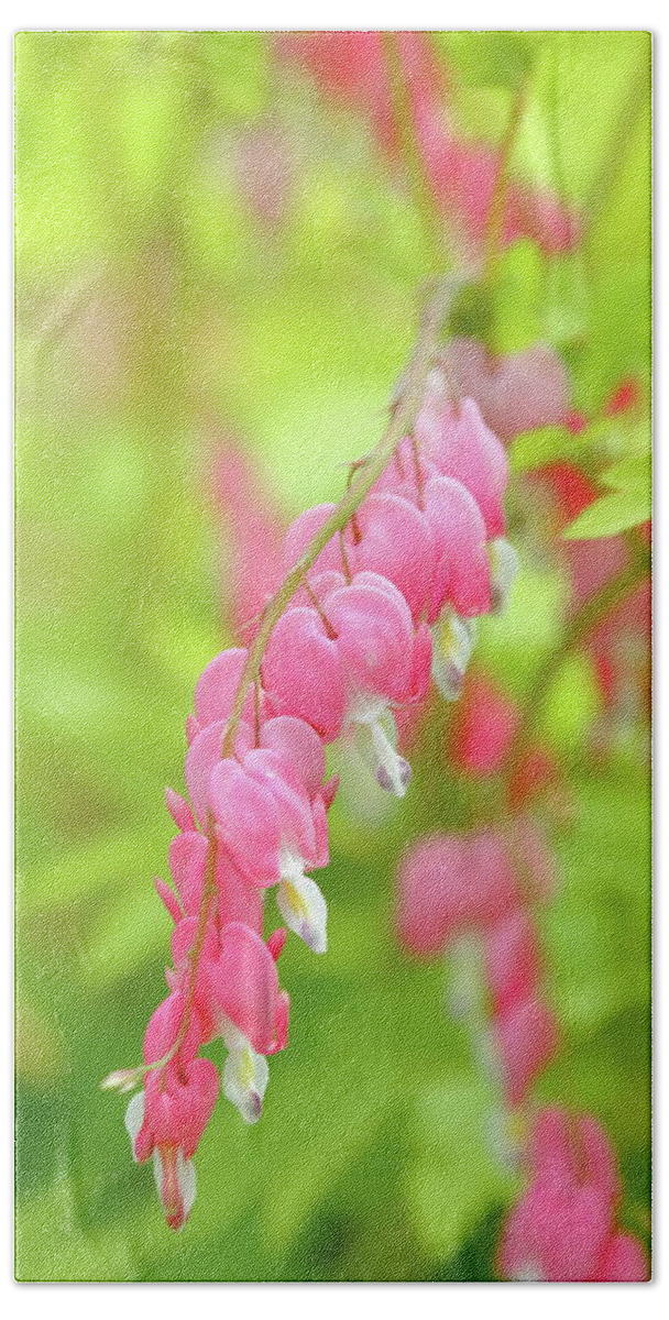 Plant Bath Towel featuring the photograph Oh My Bleeding Heart by Lens Art Photography By Larry Trager