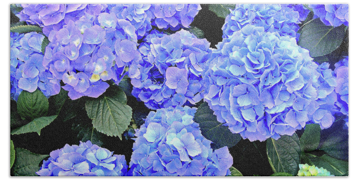 Blue Hydrangea Flowers Hand Towel featuring the photograph Oh That Color by Susan Maxwell Schmidt