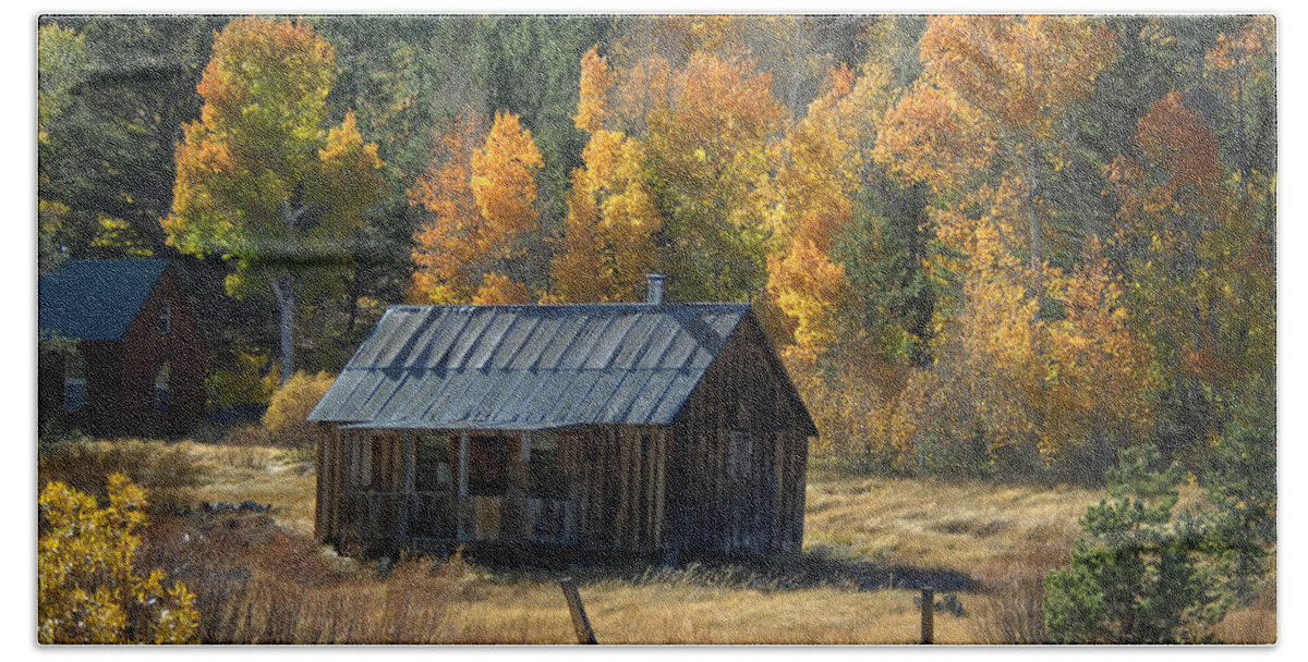 Hwy Hand Towel featuring the photograph Old Cabin on Hwy 88, California by Bonnie Colgan