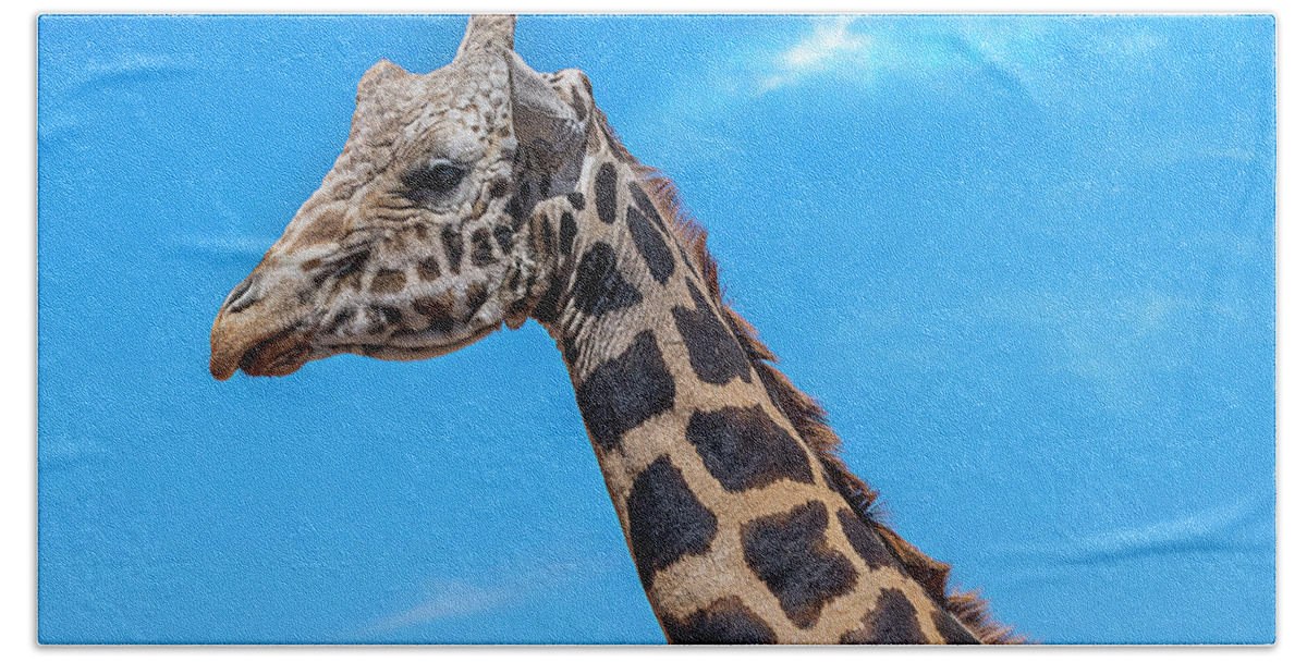  Hand Towel featuring the photograph Old Giraffe by Al Judge