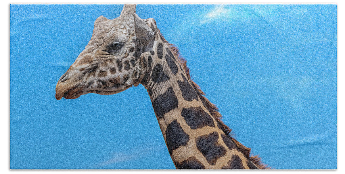  Bath Towel featuring the photograph Old Giraffe by Al Judge