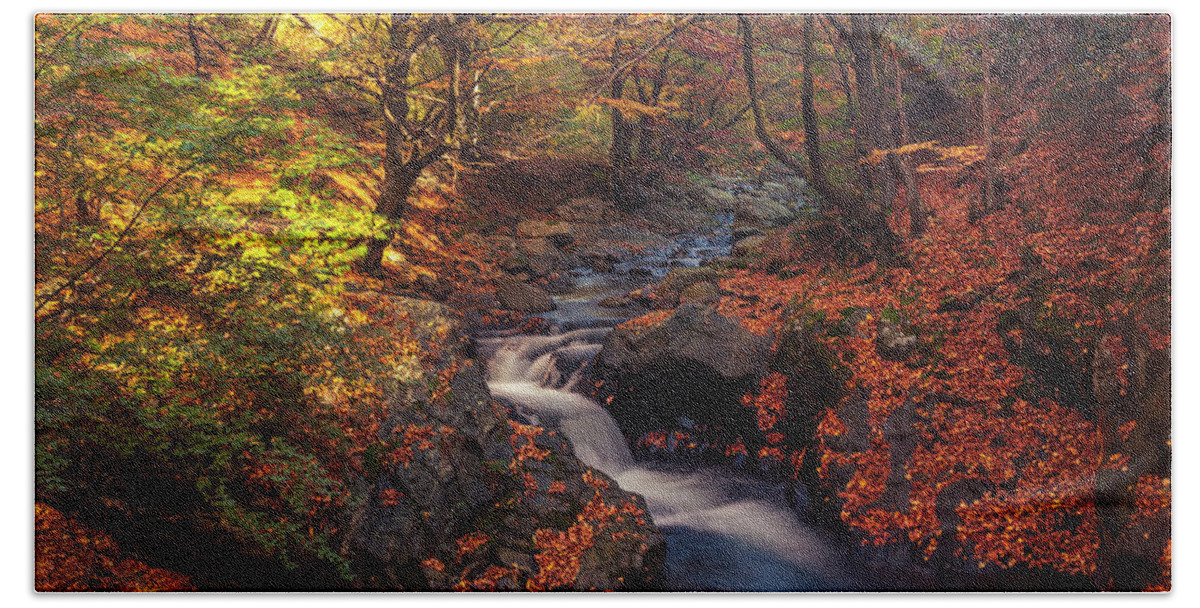Mountain Hand Towel featuring the photograph Old River by Evgeni Dinev