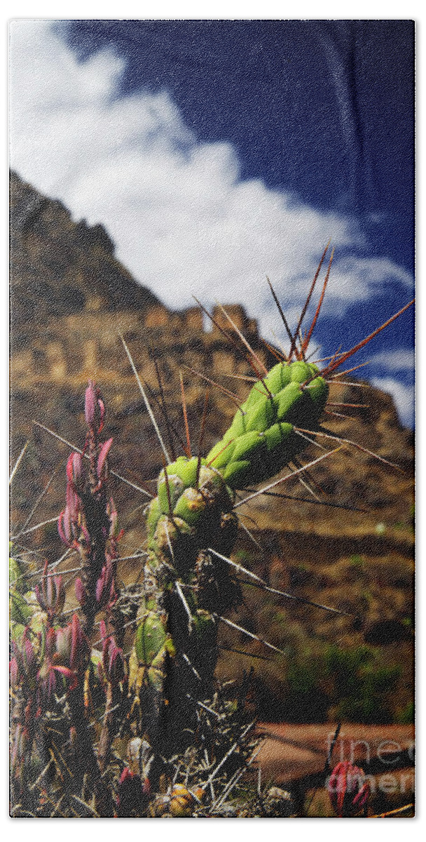 Ollantaytambo Bath Towel featuring the photograph Ollantaytambo by David Little-Smith