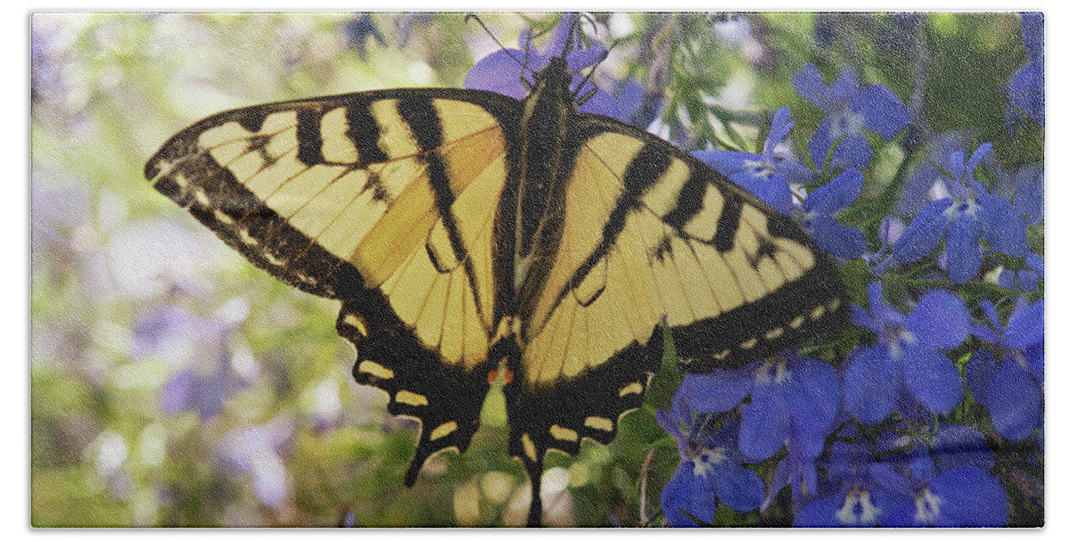 Eastern Tiger Swallowtail Hand Towel featuring the photograph On The Blue Lobelia by Sue Capuano