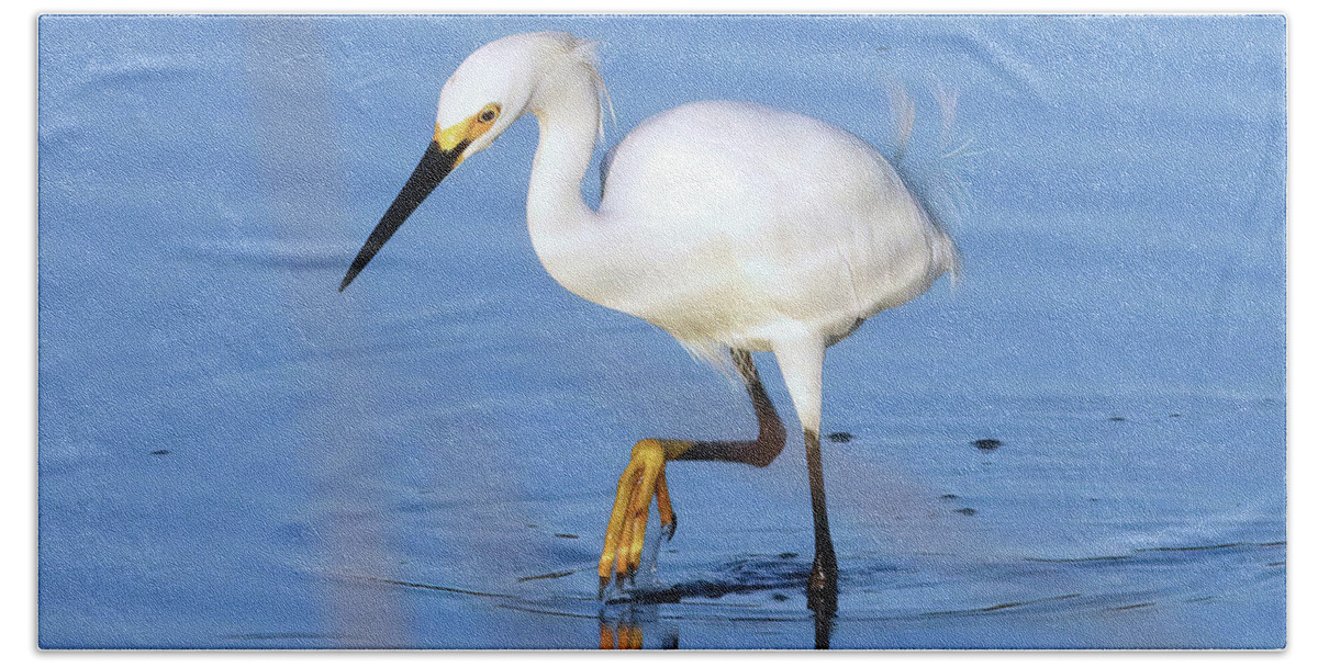 Egrets Bath Towel featuring the photograph On the Prowl by Scott Cameron