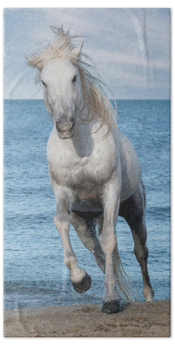 Horse Bath Towel featuring the digital art Once More Onto the Beach by Wade Aiken