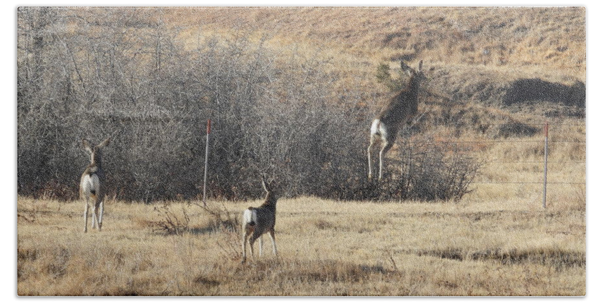 Mule Deer Hand Towel featuring the photograph One Two Three Jump by Amanda R Wright