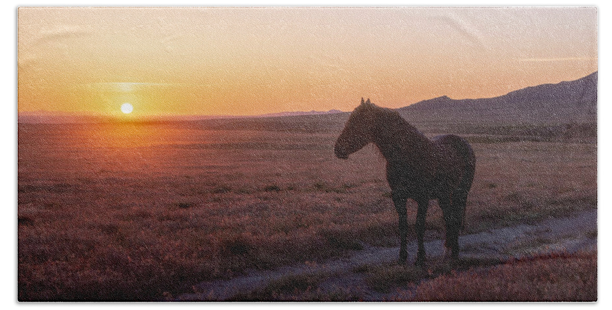 Horse Bath Towel featuring the photograph Orange and Purple Sunset by Dirk Johnson