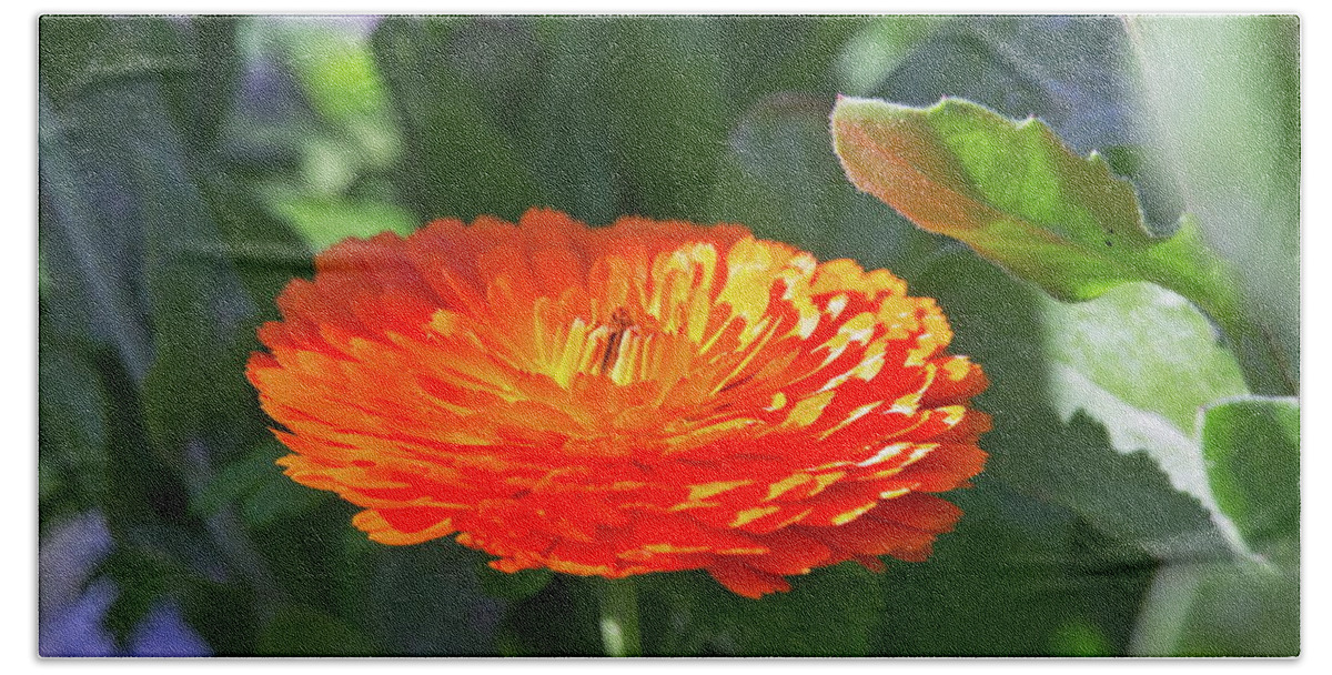 Beautiful Hand Towel featuring the photograph Orange Blossom by David Desautel