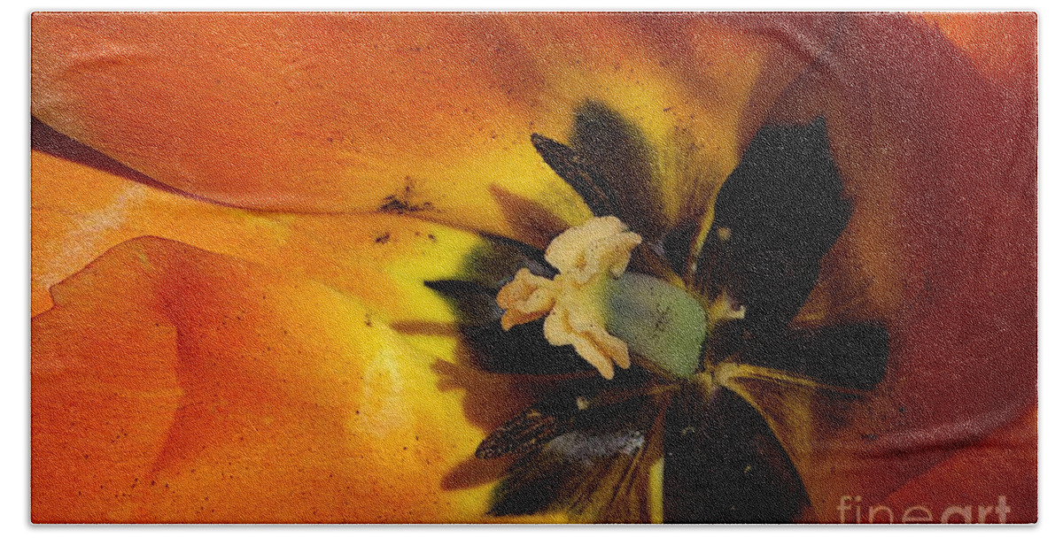 Art Hand Towel featuring the photograph Orange Tulip 1 by Jean Bernard Roussilhe