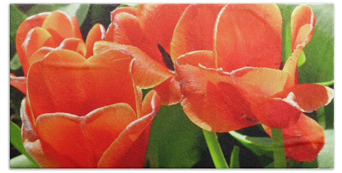 Tulips Bath Towel featuring the photograph Orange Tulips by Stephanie Moore