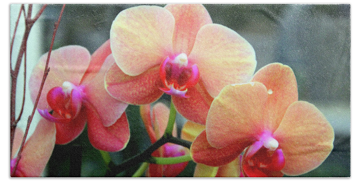 Orchid Bath Towel featuring the photograph Orchid Peach by Carolyn Stagger Cokley