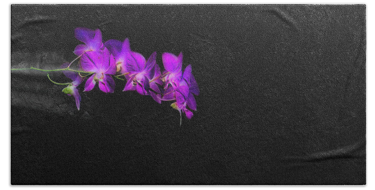 Orchid Bath Towel featuring the photograph Orchid Rush by Jim Signorelli